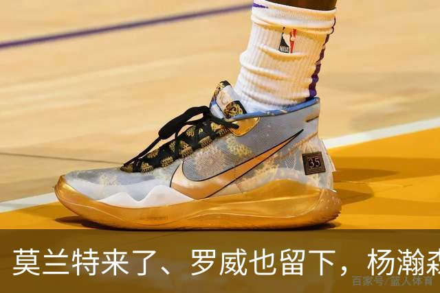 莫兰特来了、罗威也留下，杨瀚森第二季真正考题，是能否挤进开拓者的轮换阵容